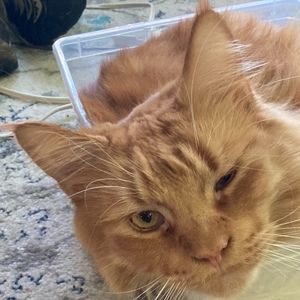 Meet your Posher, Mhairi